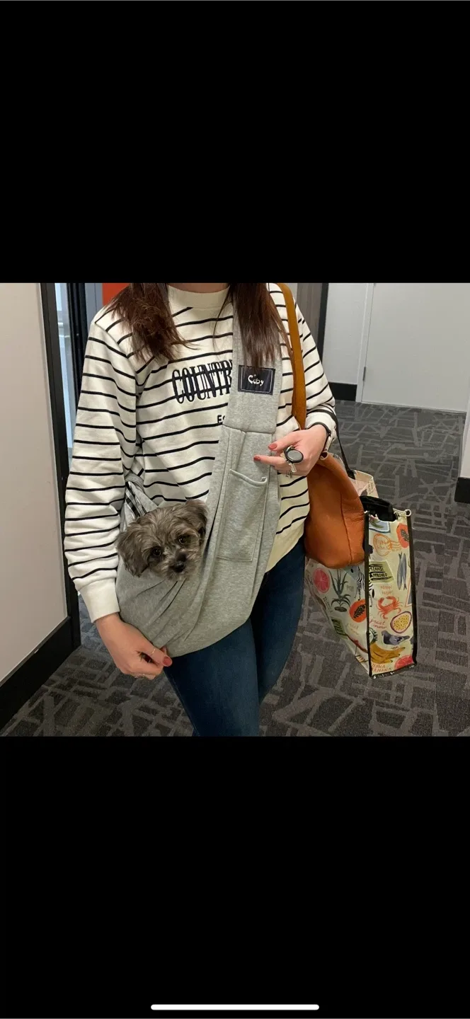 Puppy / small dog supplies - car seat, sling & pee pad tray image indicator(5)