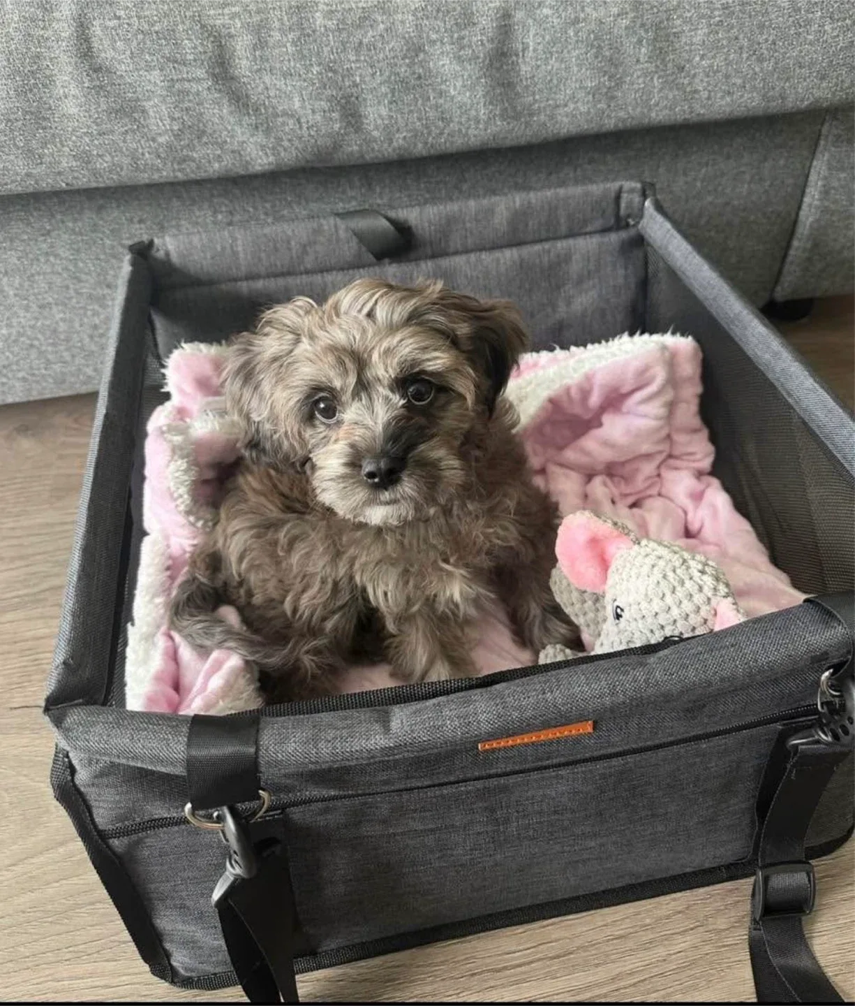 Puppy / small dog supplies - car seat, sling & pee pad tray image indicator(6)