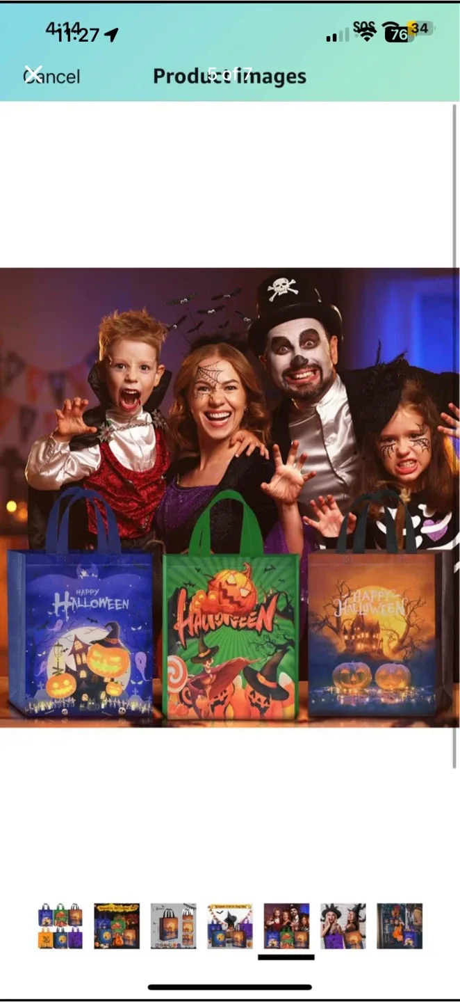 Halloween Trick or Treat Bags - brand new, 9 pieces image indicator(5)