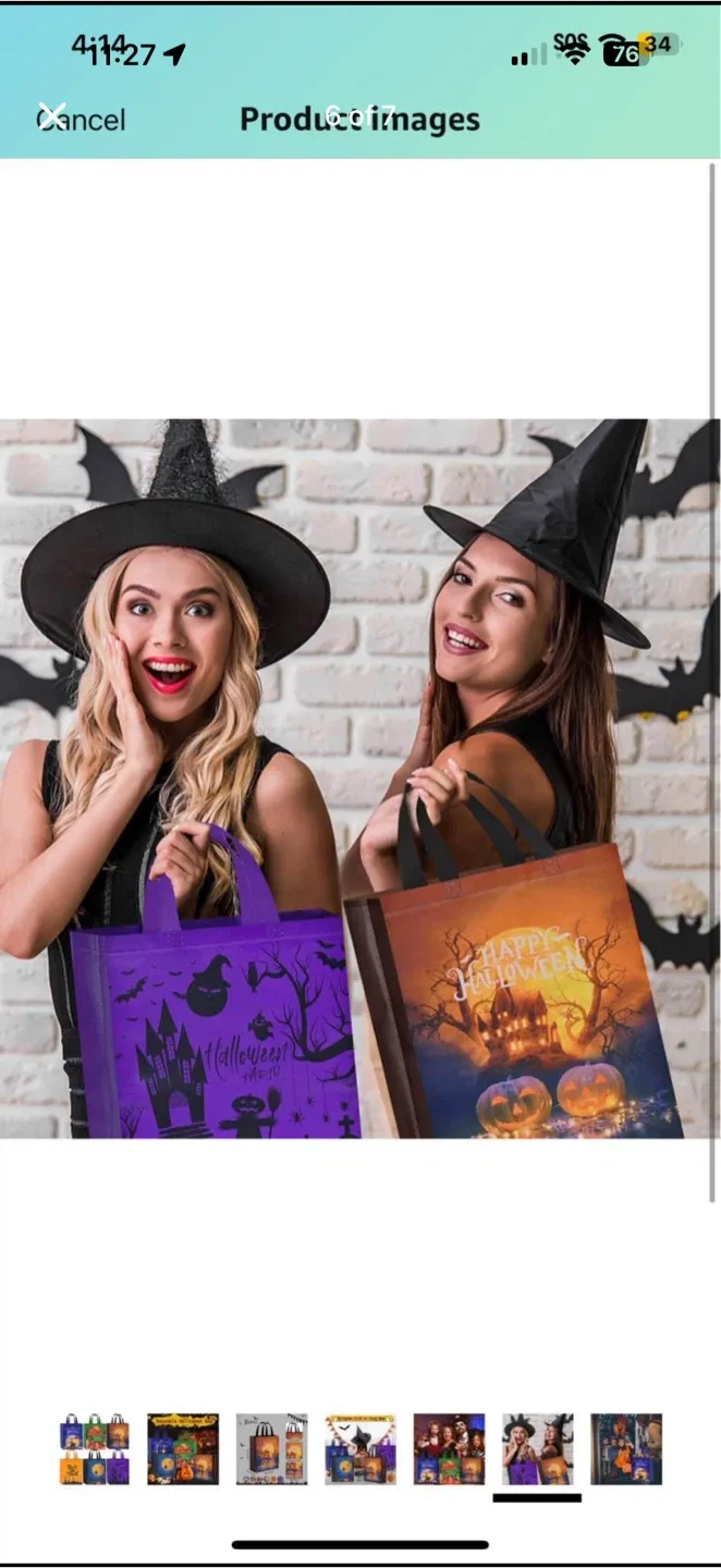 Halloween Trick or Treat Bags - brand new, 9 pieces image indicator(6)