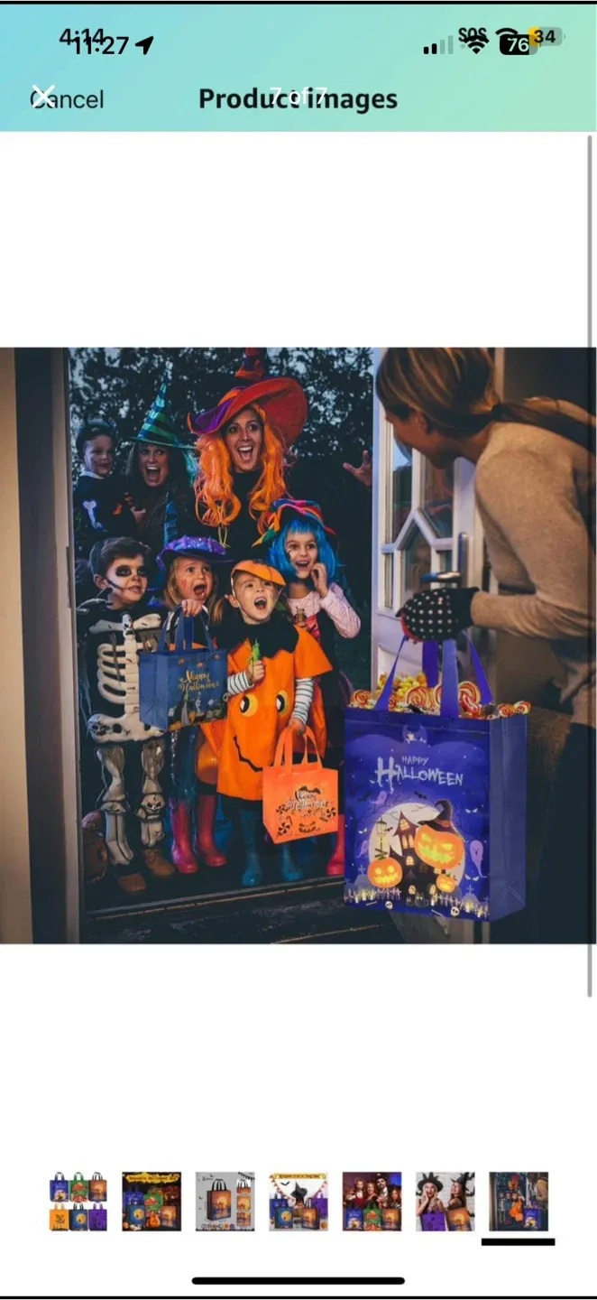 Halloween Trick or Treat Bags - brand new, 9 pieces image indicator(7)