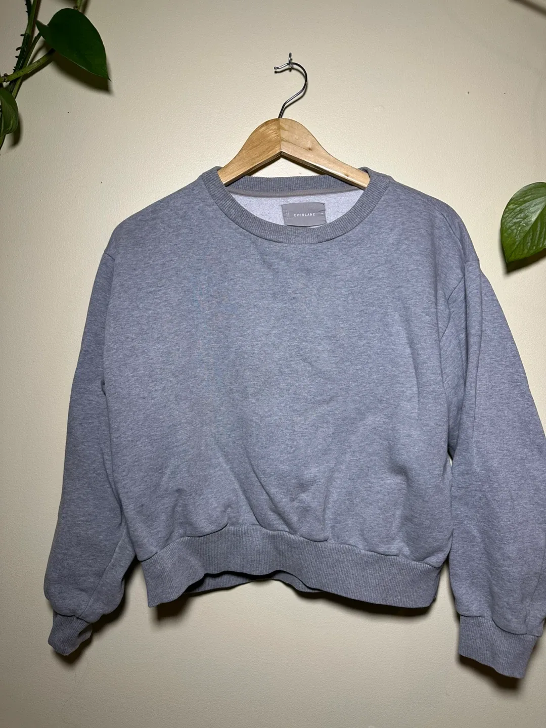 Everlane Grey Cropped Sweatshirt thumbnail