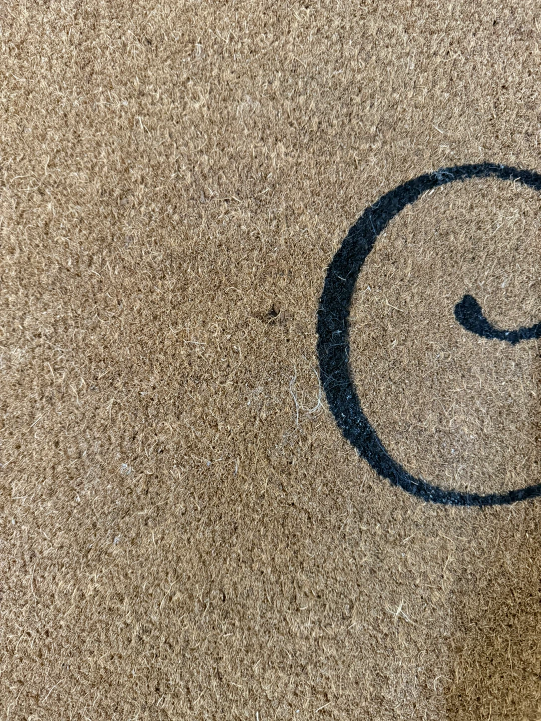 Coir Doormat - "Come In" Design - photo 3