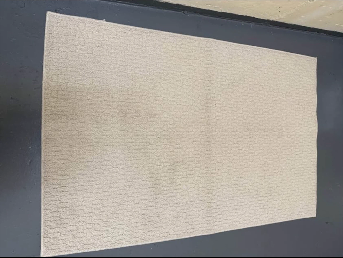 Threshold Washable Runner Rug - New