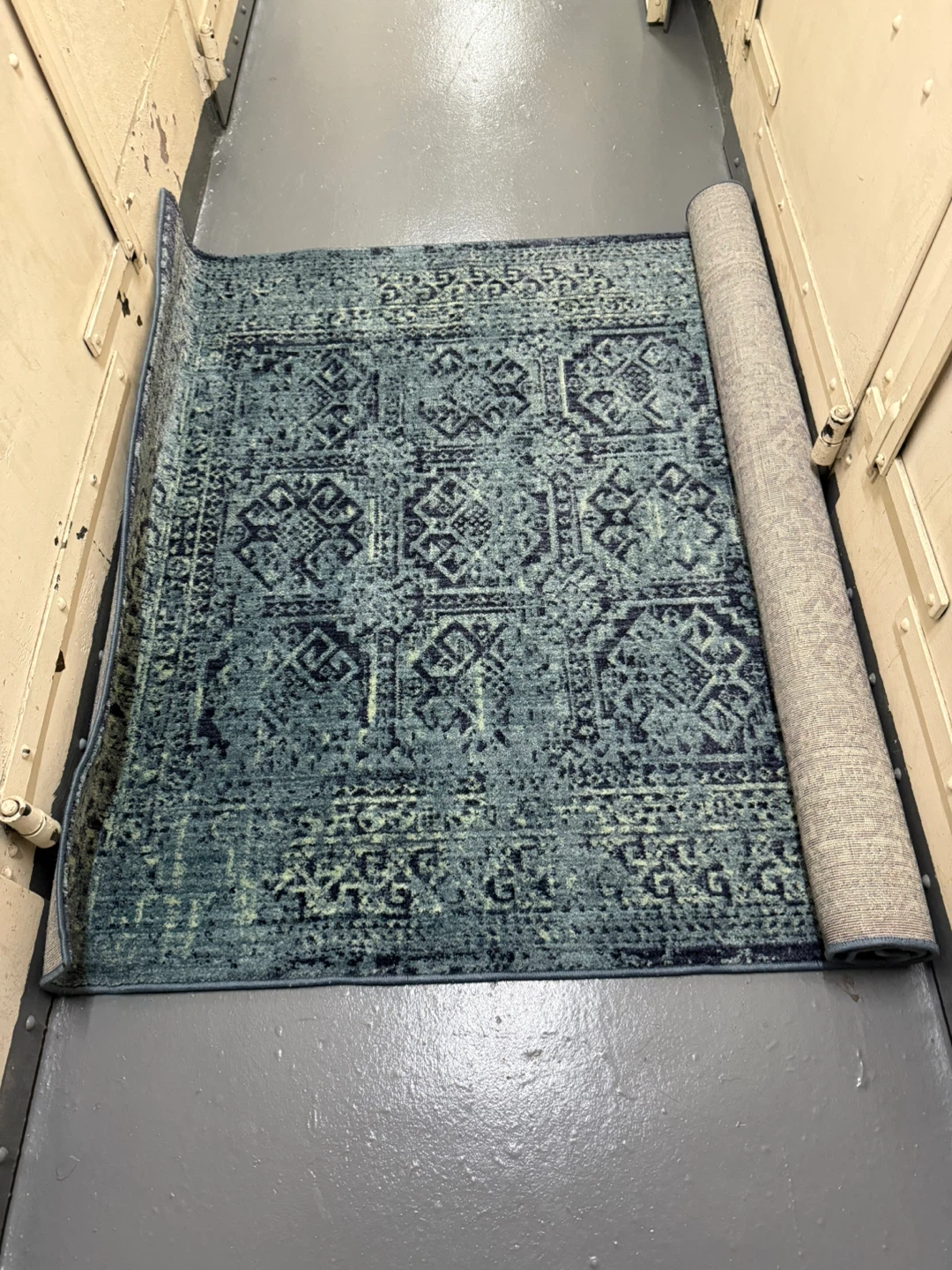 Threshold Overdyed Oriental Area Rug