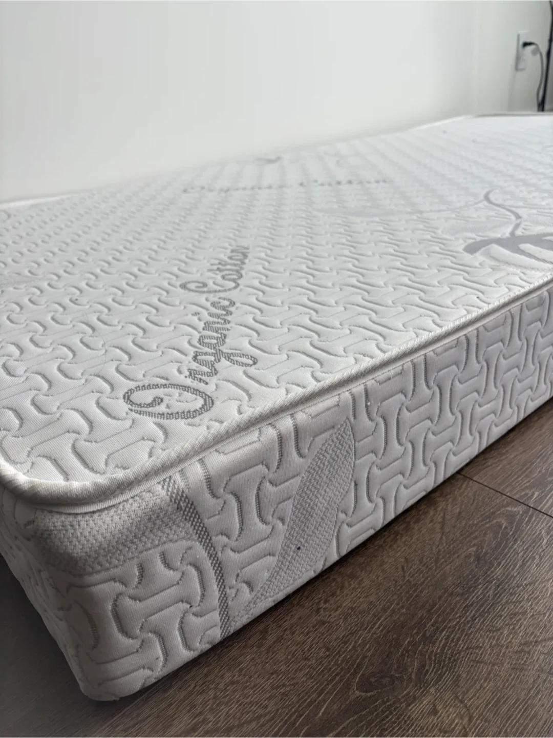 Single Foam Mattress Firm image indicator(2)