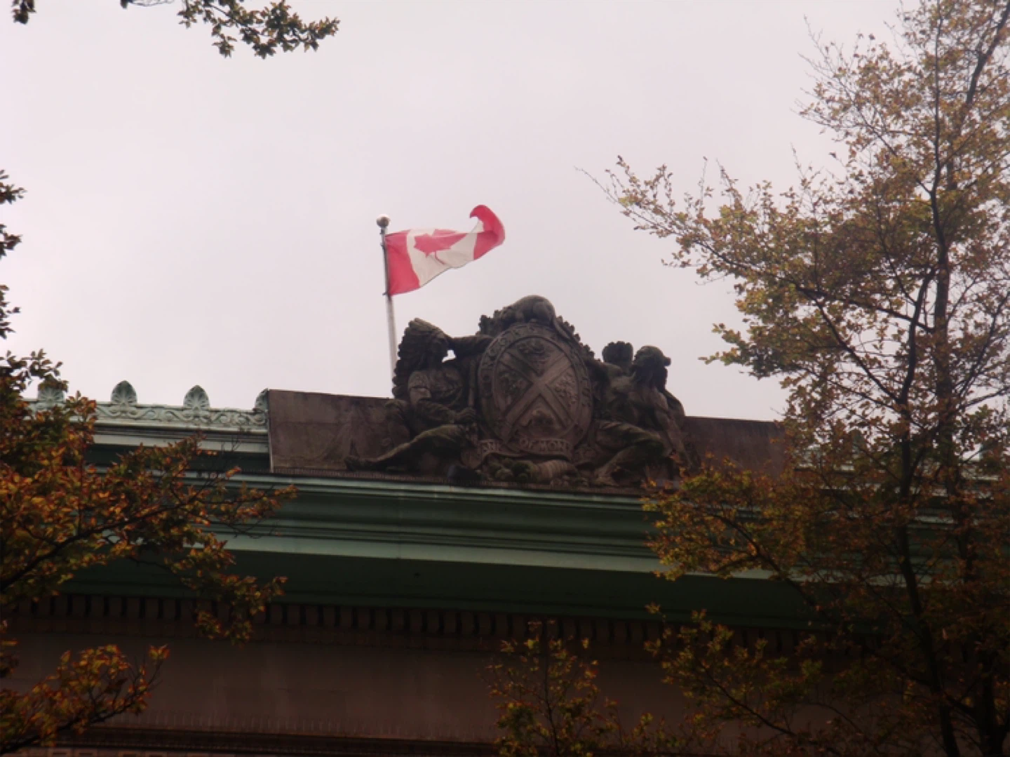 Sony Cybershot Dsc-T200 digital camera - photo 3