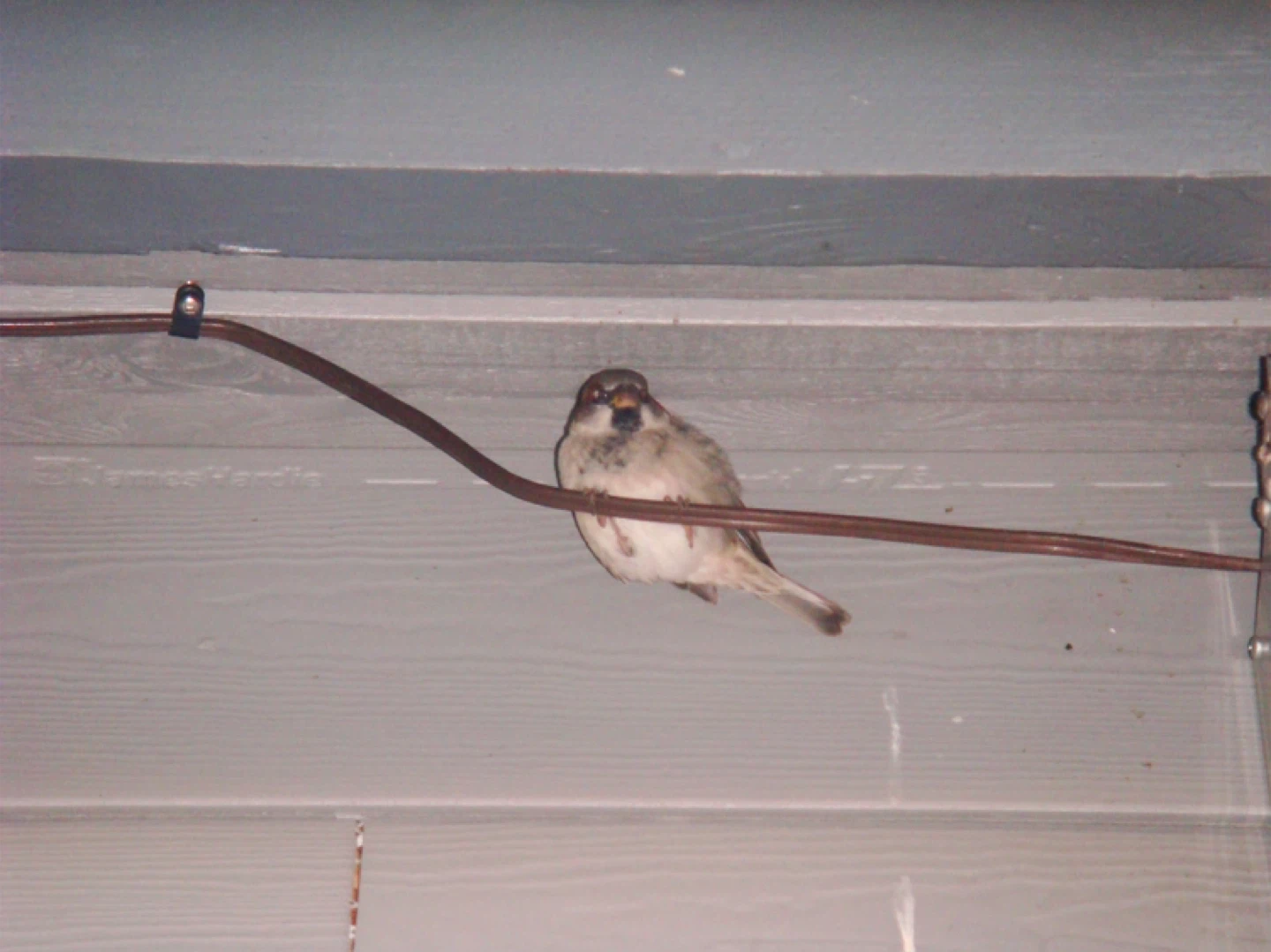 Sony Cybershot Dsc-T200 digital camera - photo 5