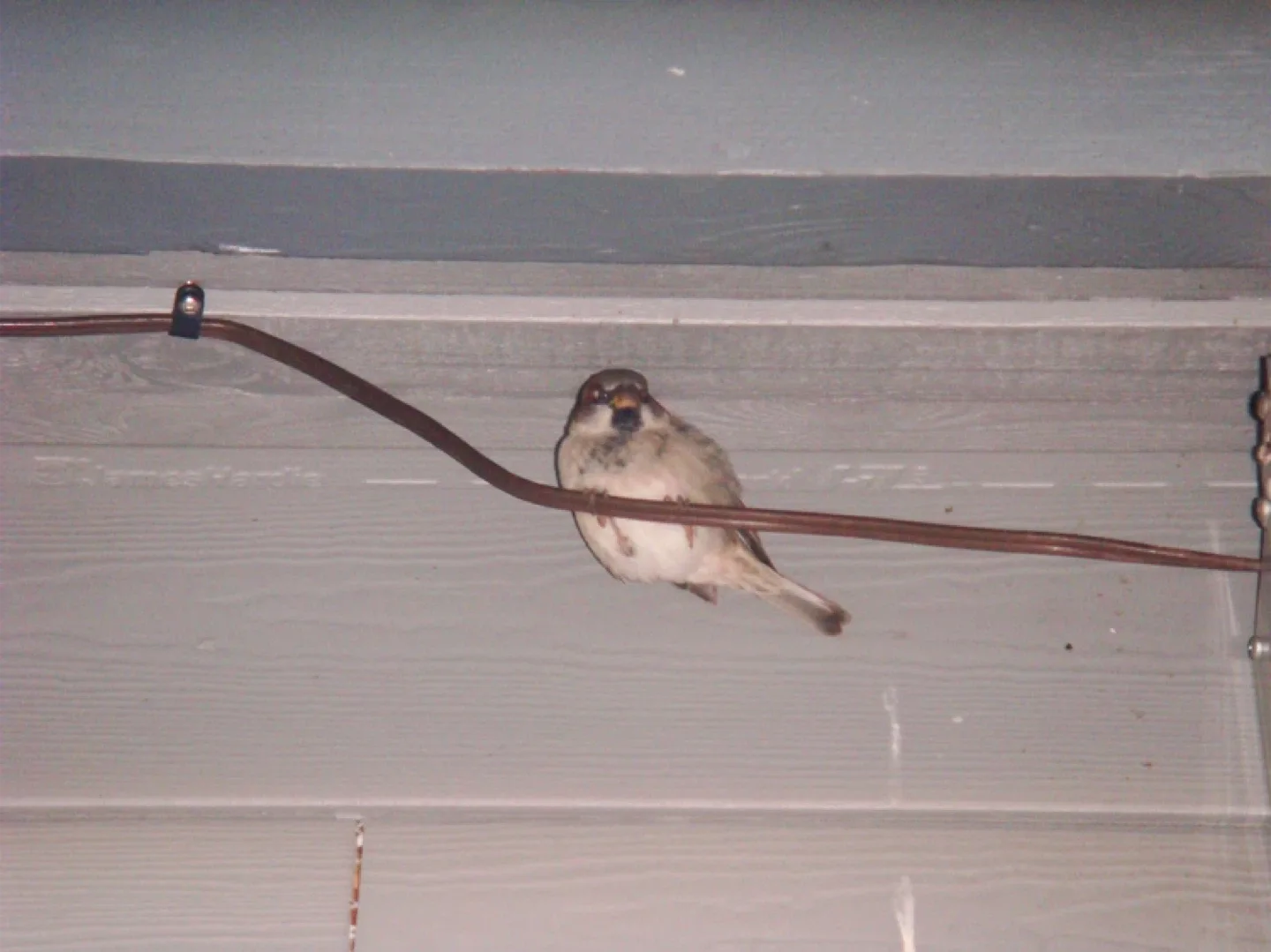 Sony Cybershot Dsc-T200 digital camera image indicator(5)