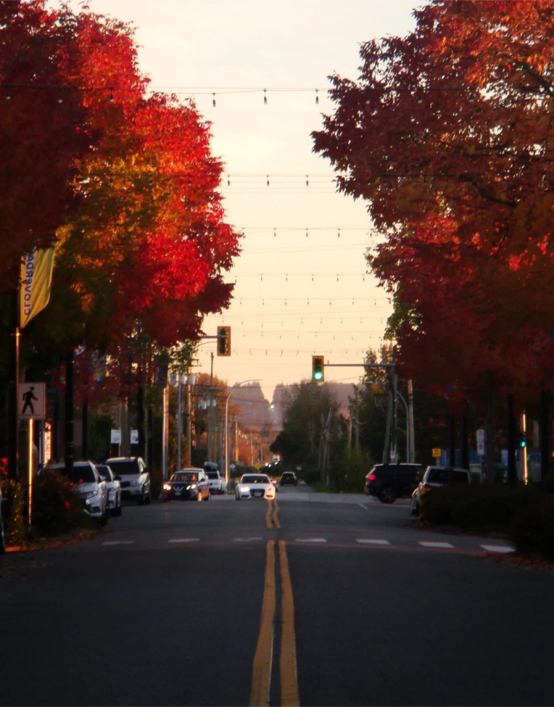 Sony Cybershot Dsc-T200 digital camera - photo 4