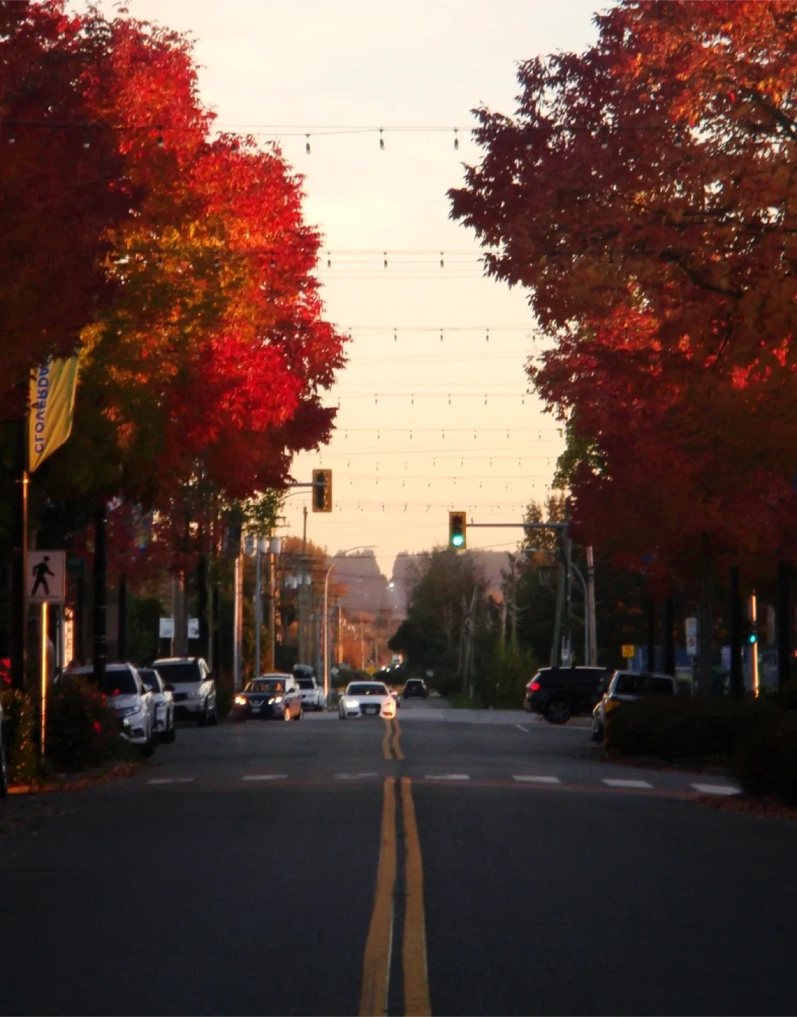 Sony Cybershot Dsc-T200 digital camera image indicator(4)