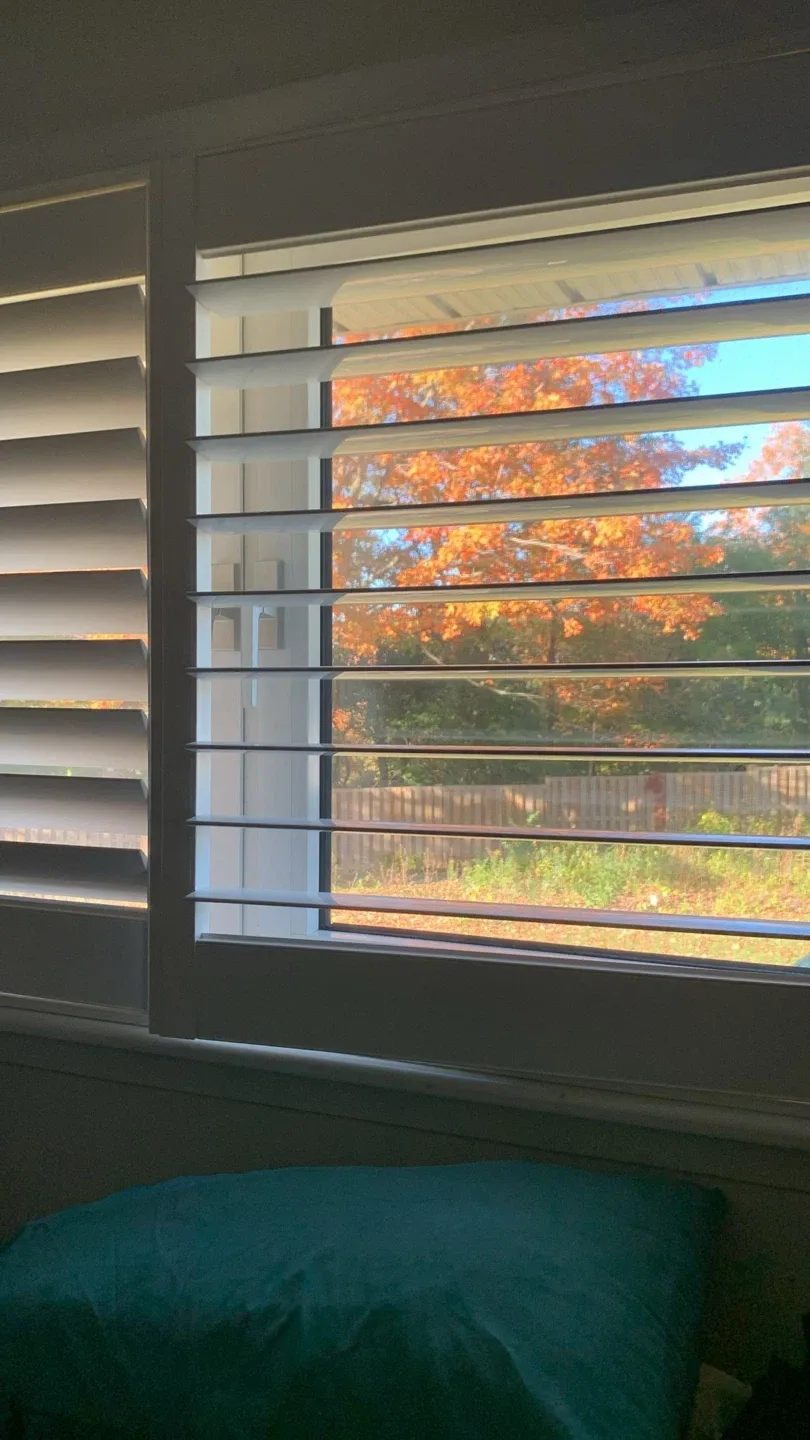 1 Bed 1 Bath - House image indicator(6)