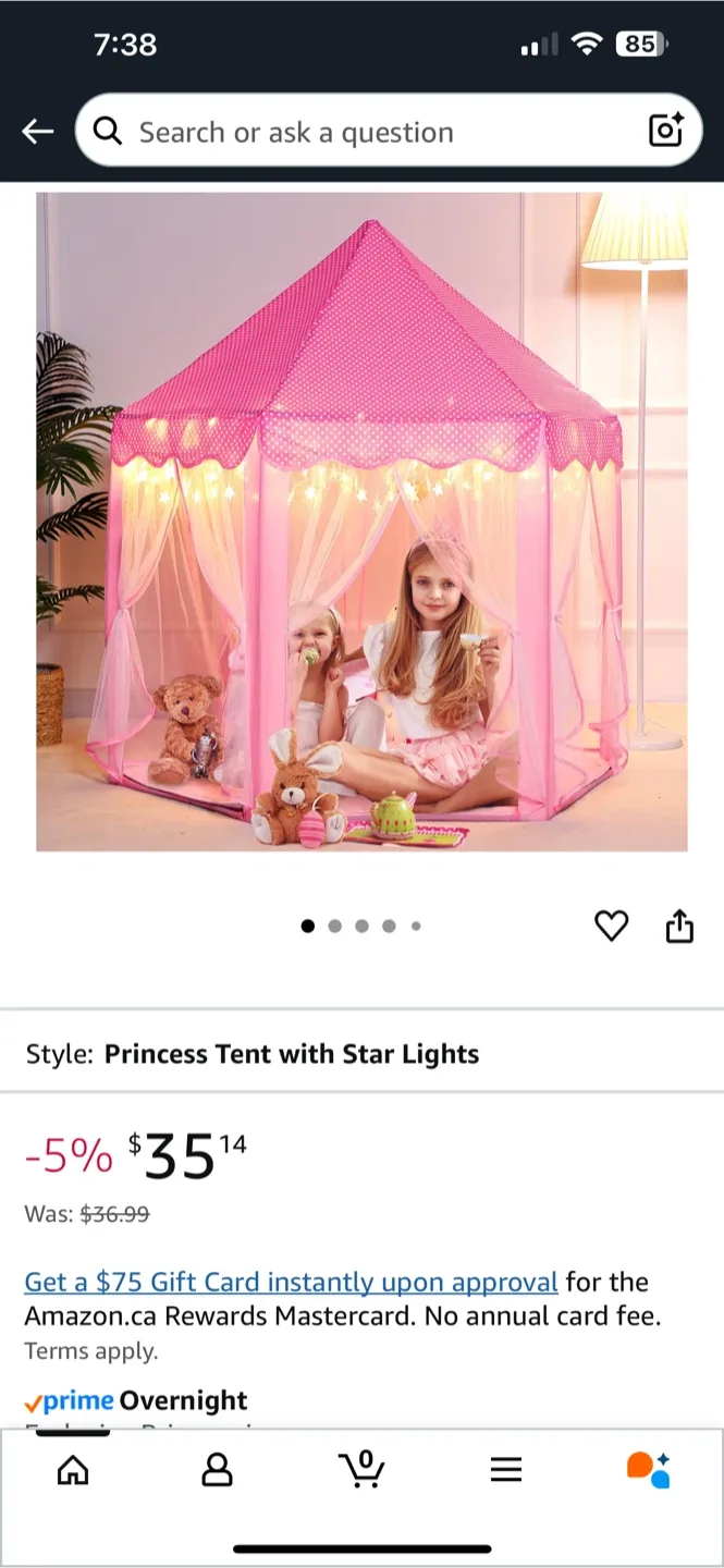 Princess Castle Play Tent - Ages 3+ image indicator(4)