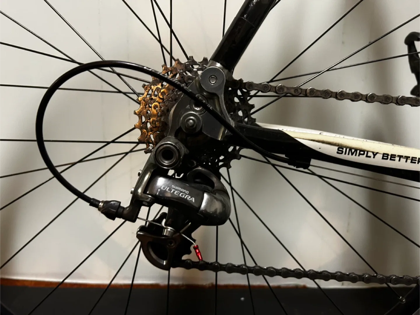 Fuji Team Issue Carbon Road Bike image indicator(9)