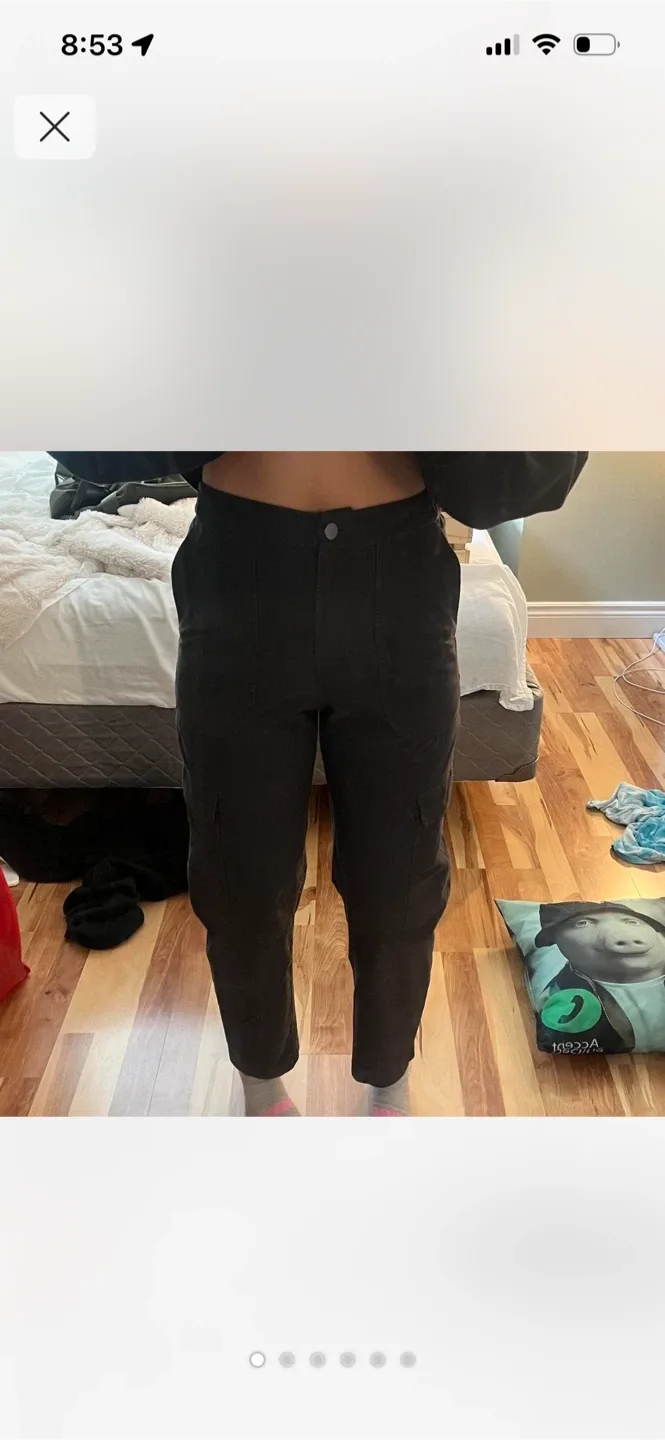 Lululemon Grey Pants Size 25 image indicator(3)