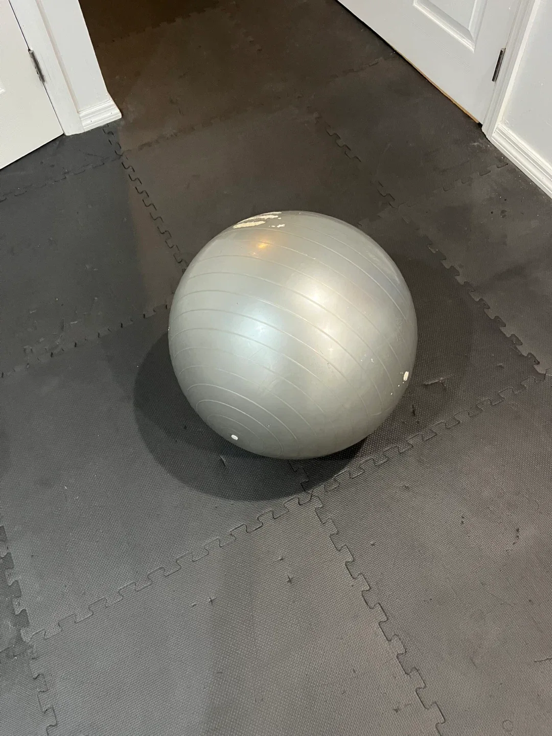 Silver Exercise Ball image indicator(2)