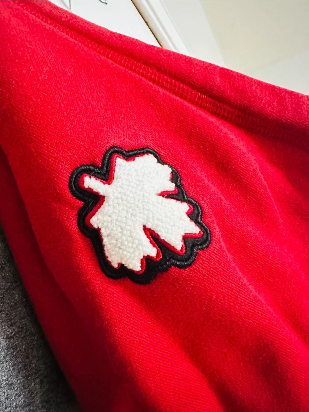 Roots Canada Hoodie - Size M/M