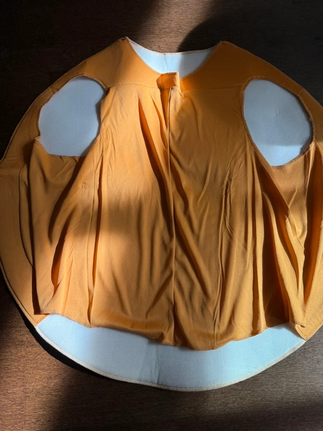 Chocolate Chip Cookie costume image indicator(2)