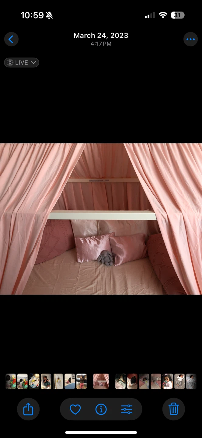 Kids House Bed Frame