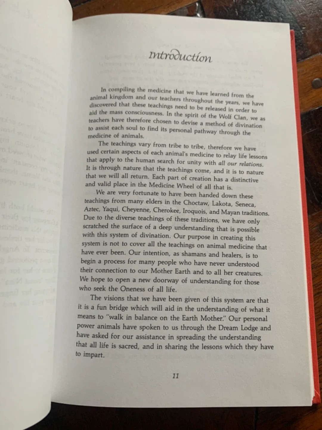 VINTAGE Medicine Cards Native American Divination 1988 image indicator(7)