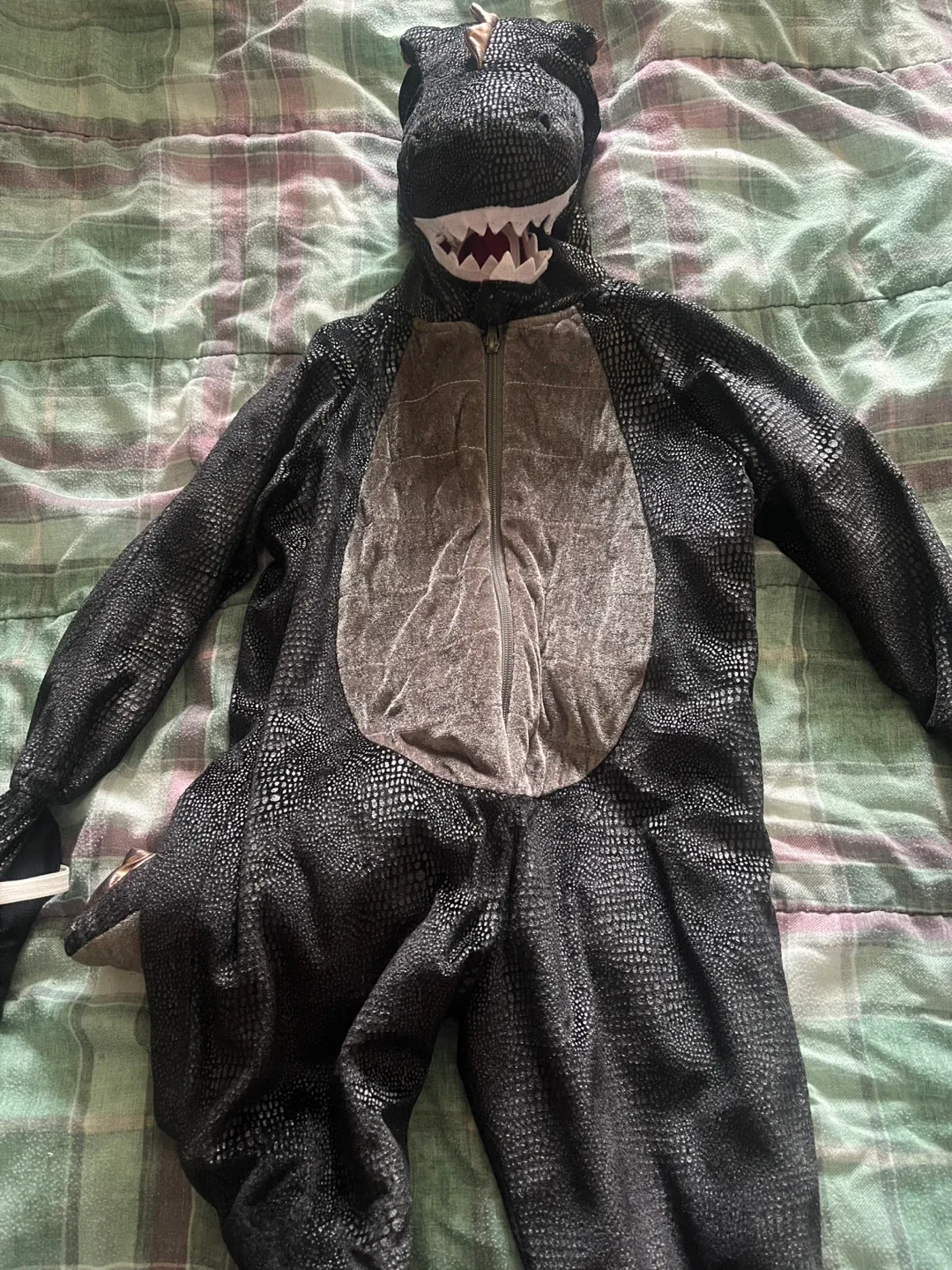 Halloween Dinosaur Costume - Kids 4T thumbnail