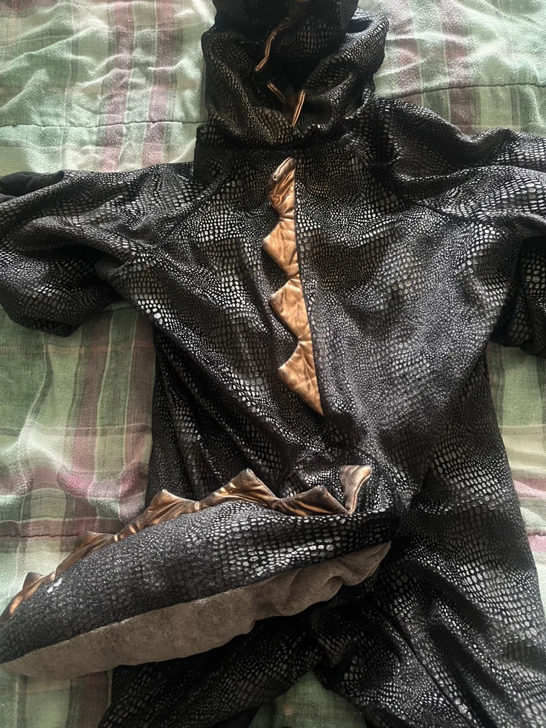 Halloween Dinosaur Costume - Kids 4T image indicator(2)