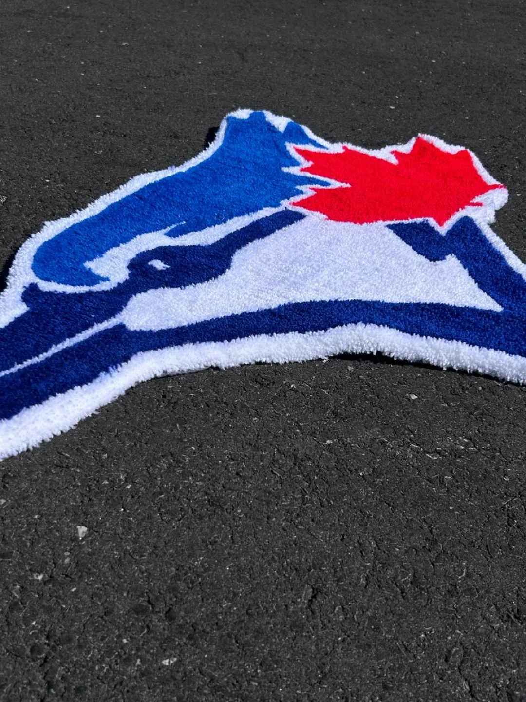 Toronto Blue Jays Rug image indicator(2)