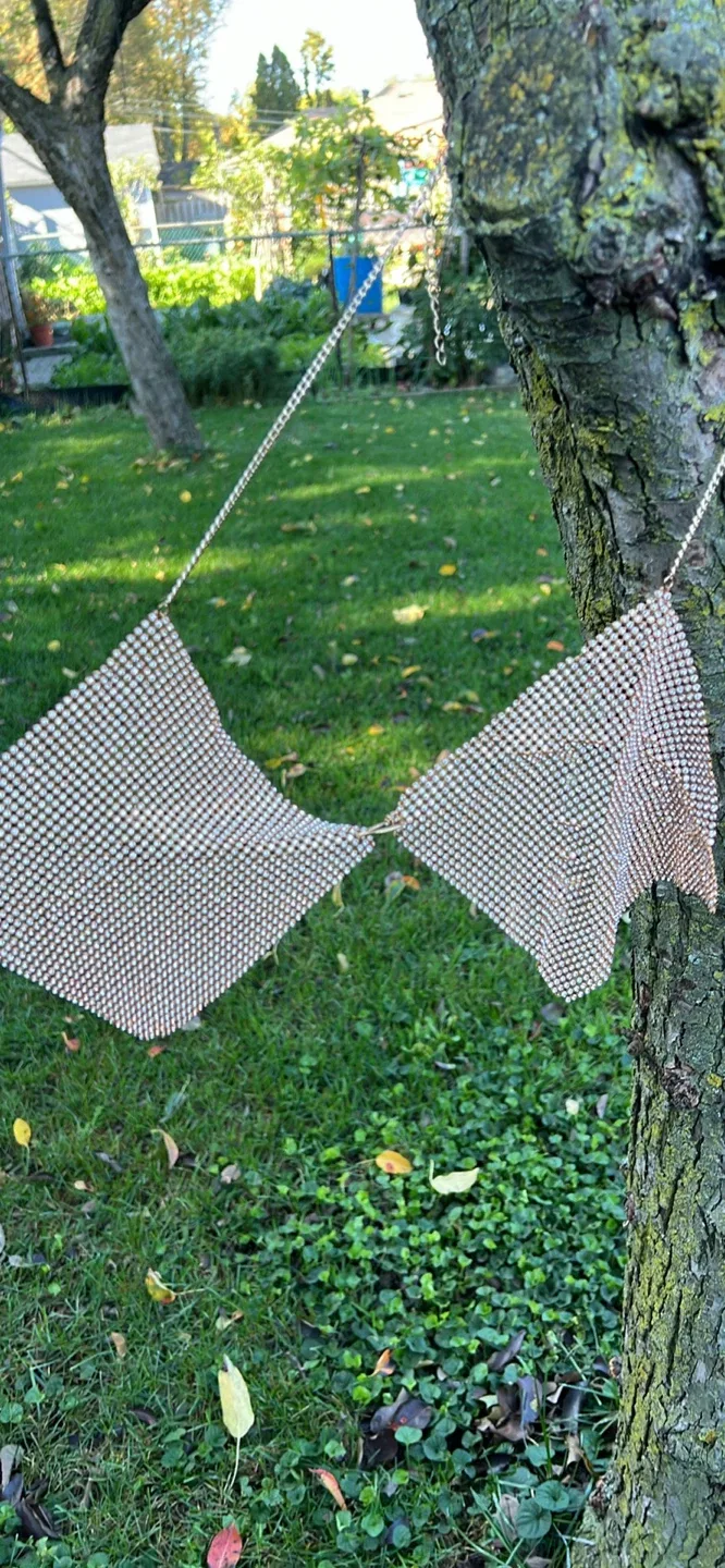 Chainmail Rhinestone Bra Top thumbnail