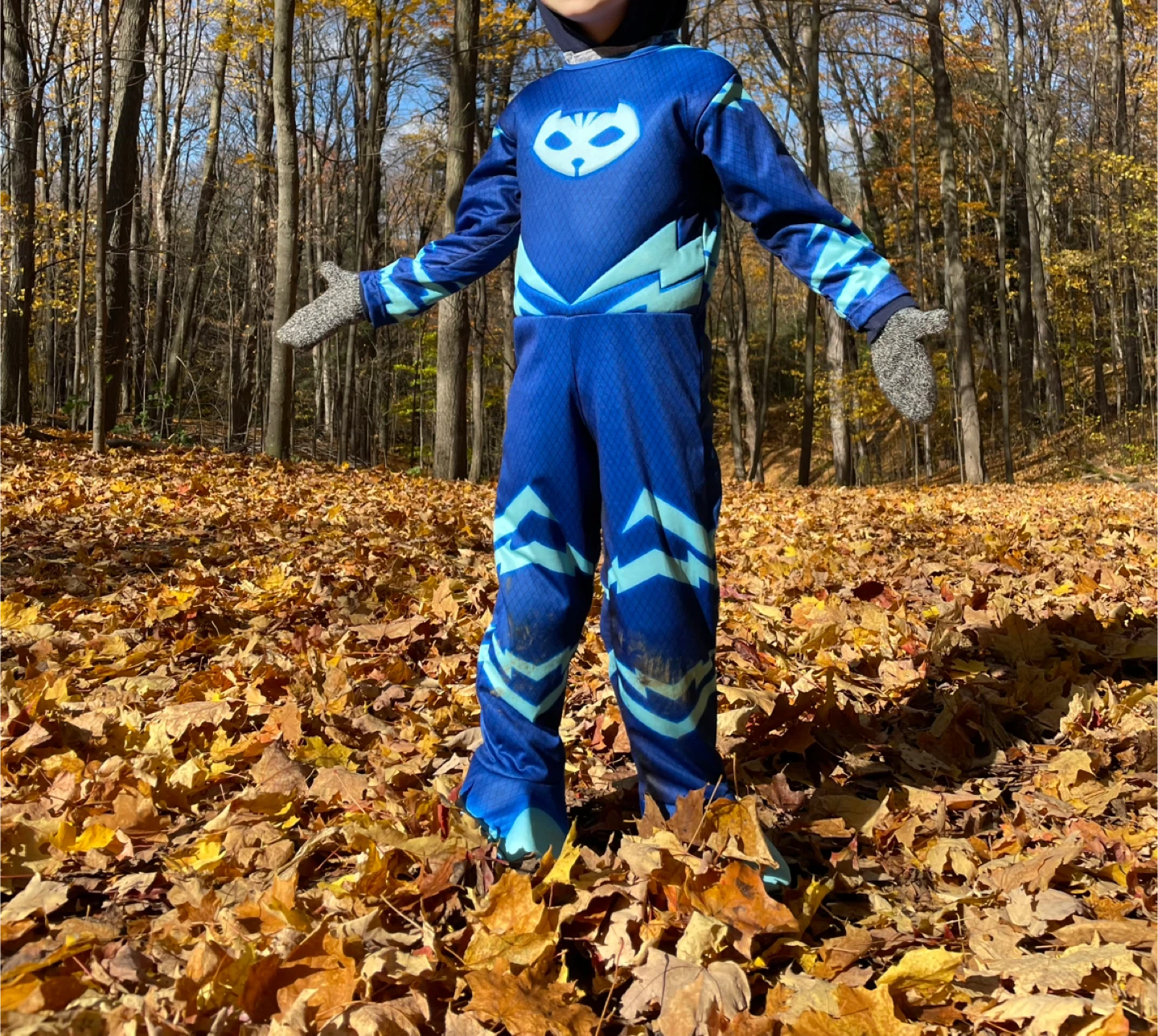 Free PJ Masks Costume 🥕