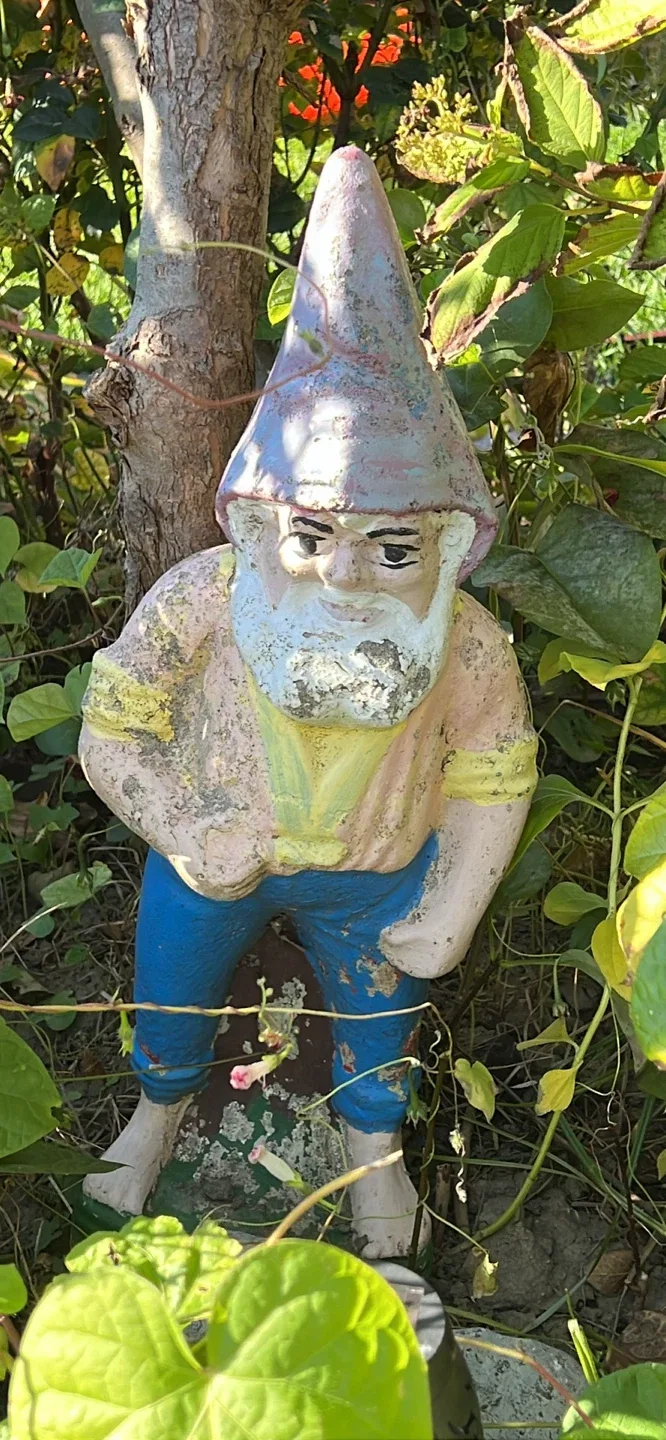Garden gnome thumbnail
