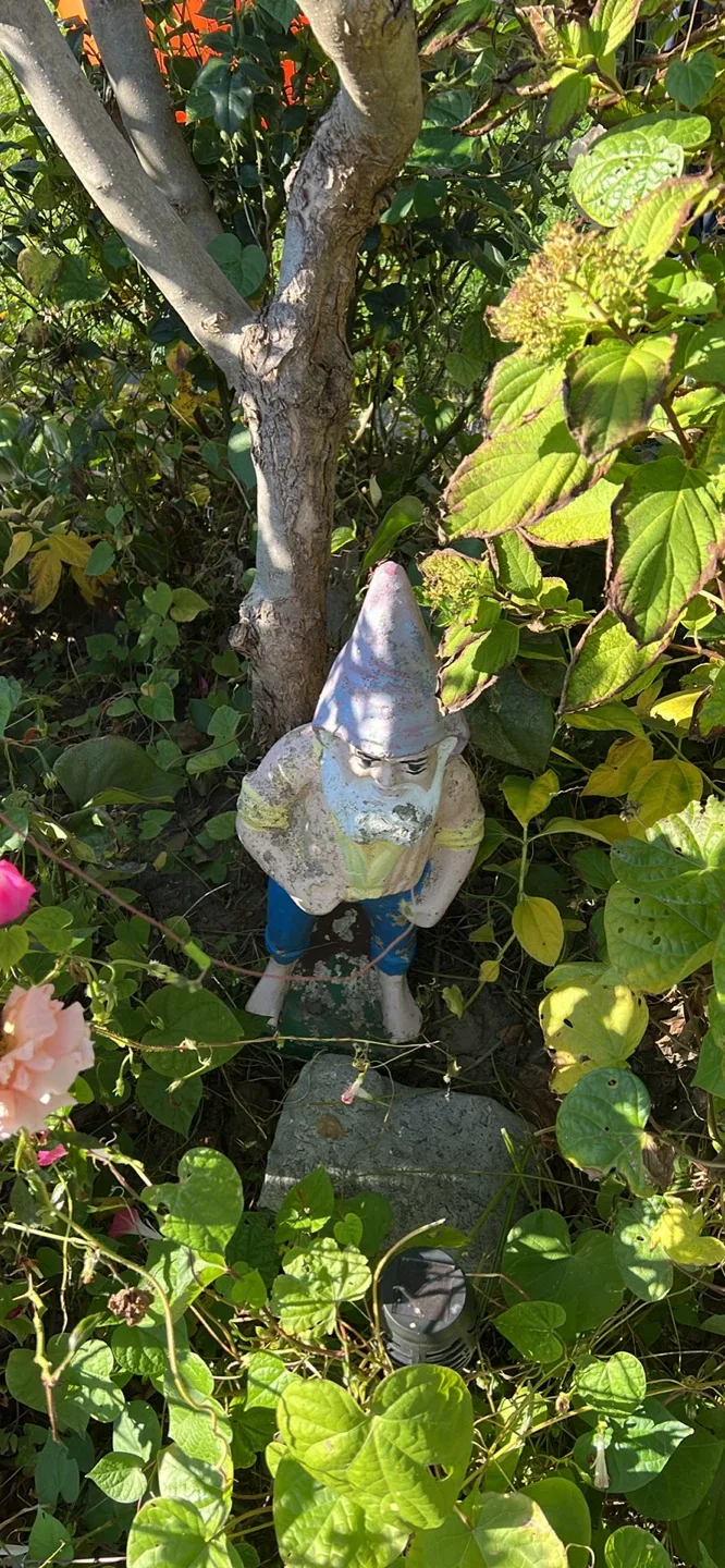 Garden gnome image indicator(2)
