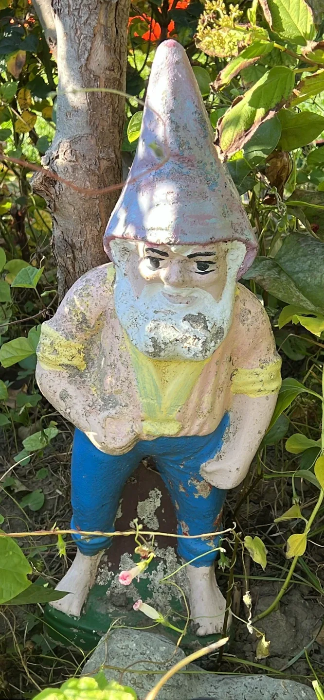 Garden gnome image indicator(4)