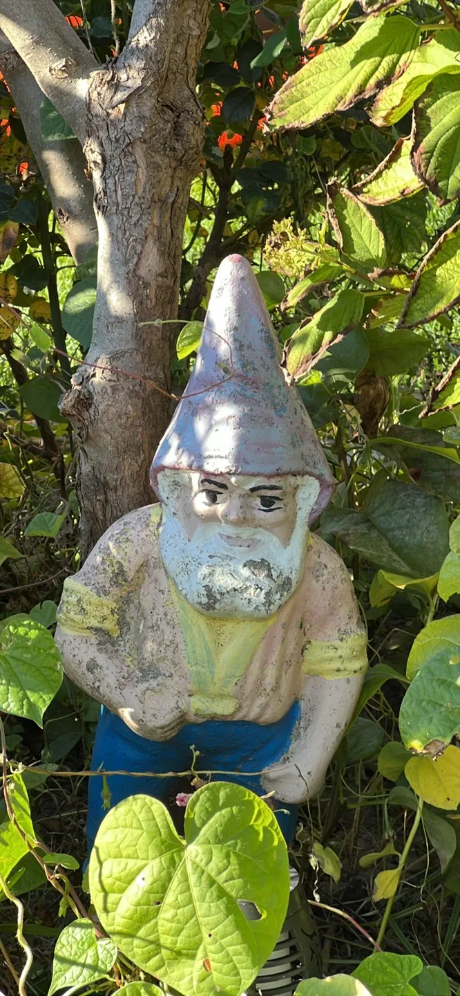 Garden gnome image indicator(3)