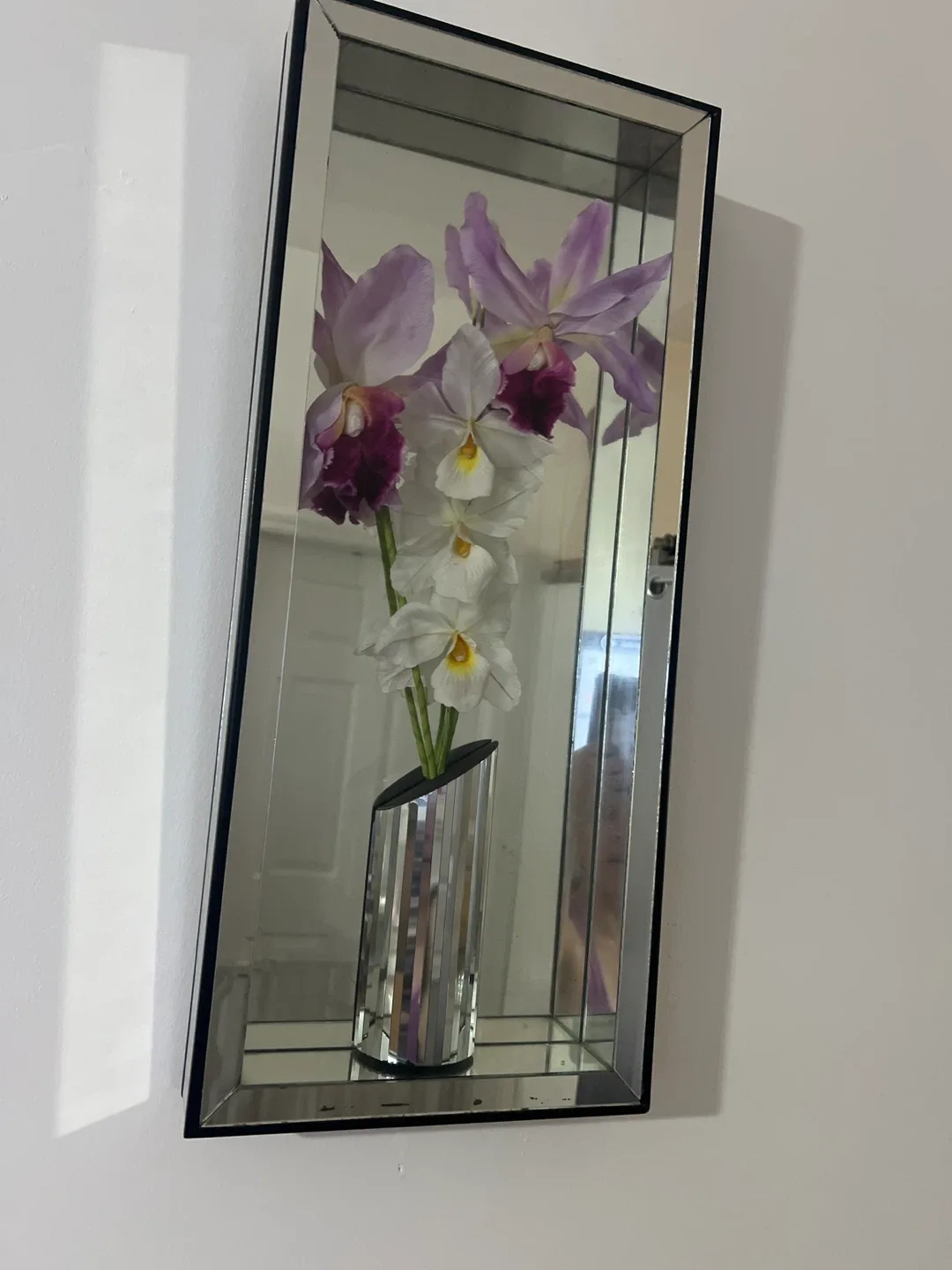 Frame of image indicator(2)