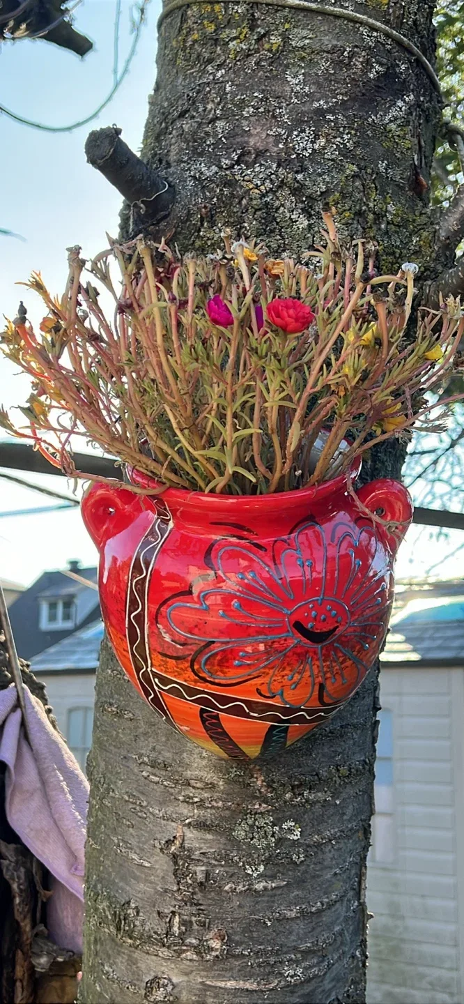 Red Decorative Flower Pot thumbnail