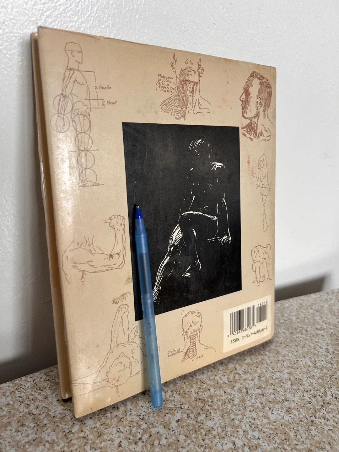 Anatomy and Drawing by Victor Perard image indicator(2)