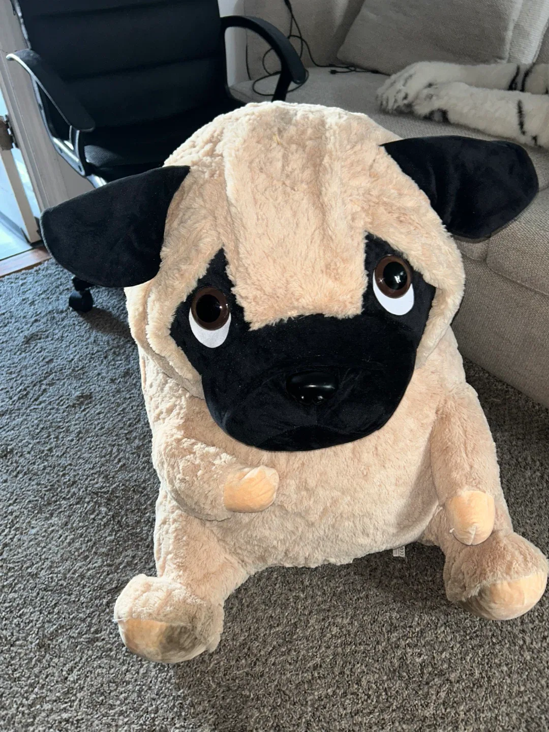 Pug Dog Plush Toy - Like New! image indicator(2)