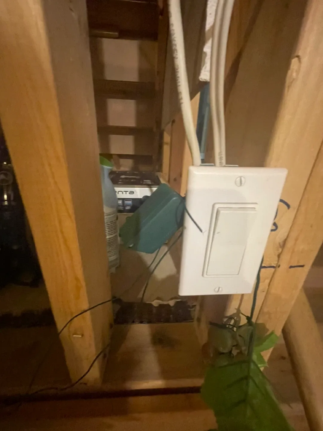 Indoor Grapes String Lights image indicator(3)