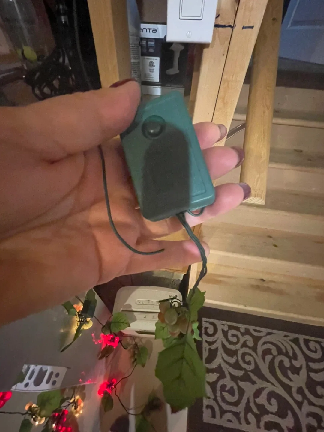 Indoor Grapes String Lights image indicator(4)