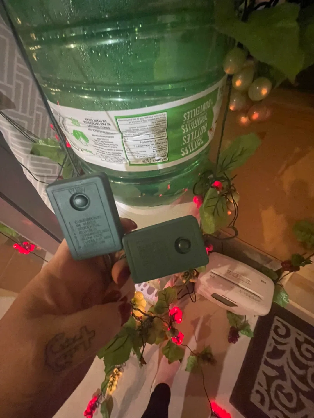 Indoor Grapes String Lights image indicator(2)