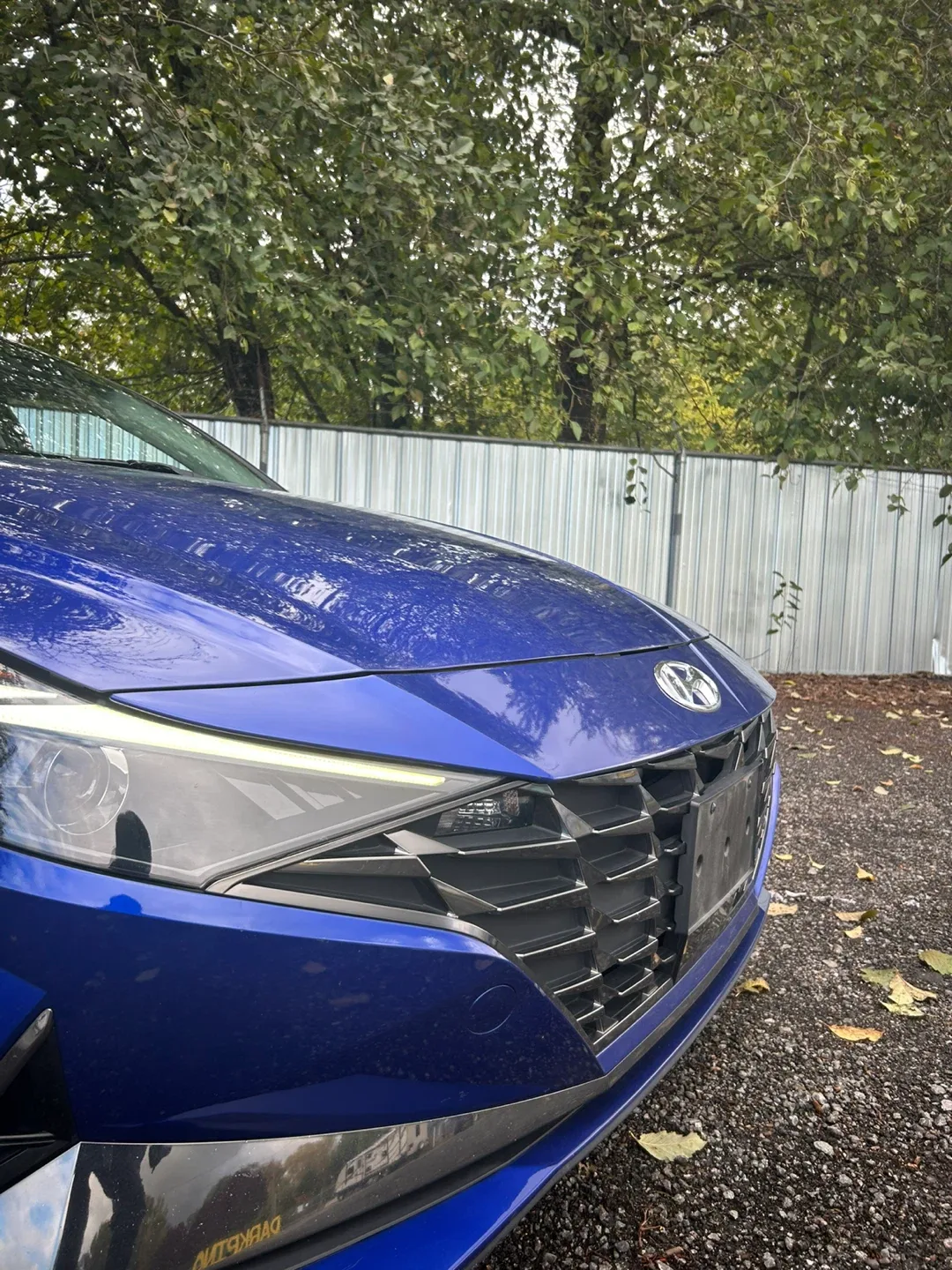 Hyundai Elantra - Blue image indicator(2)