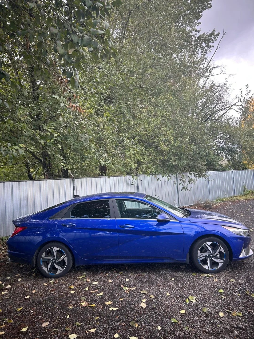 Hyundai Elantra - Blue image indicator(4)