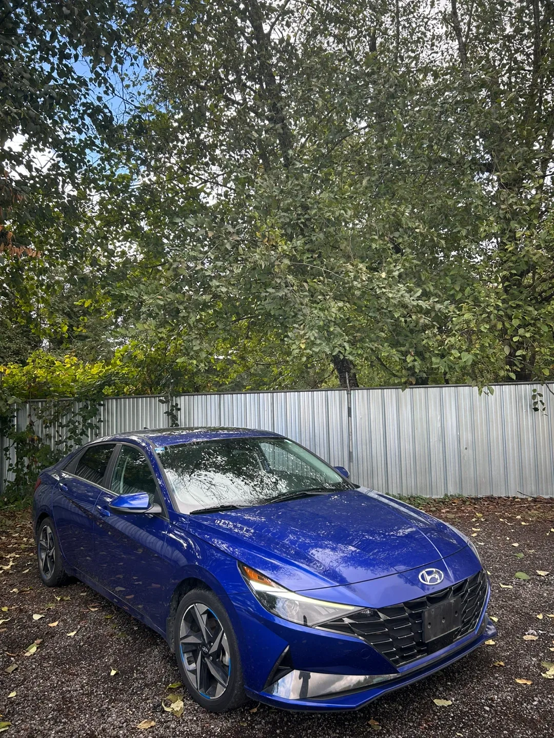 Hyundai Elantra - Blue image indicator(3)