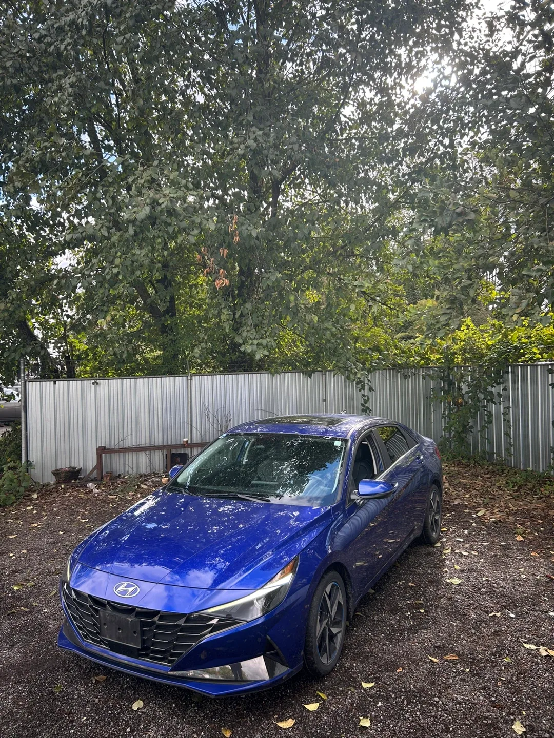 Hyundai Elantra - Blue image indicator(10)