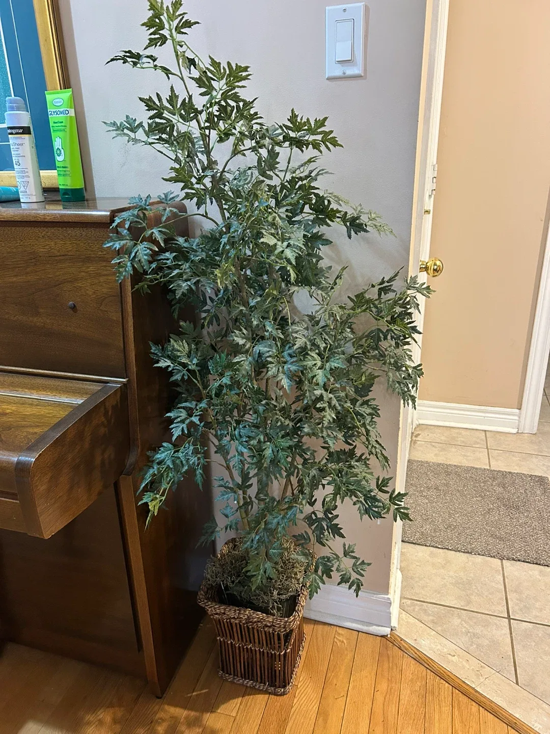 Faux Potted Tree image indicator(2)