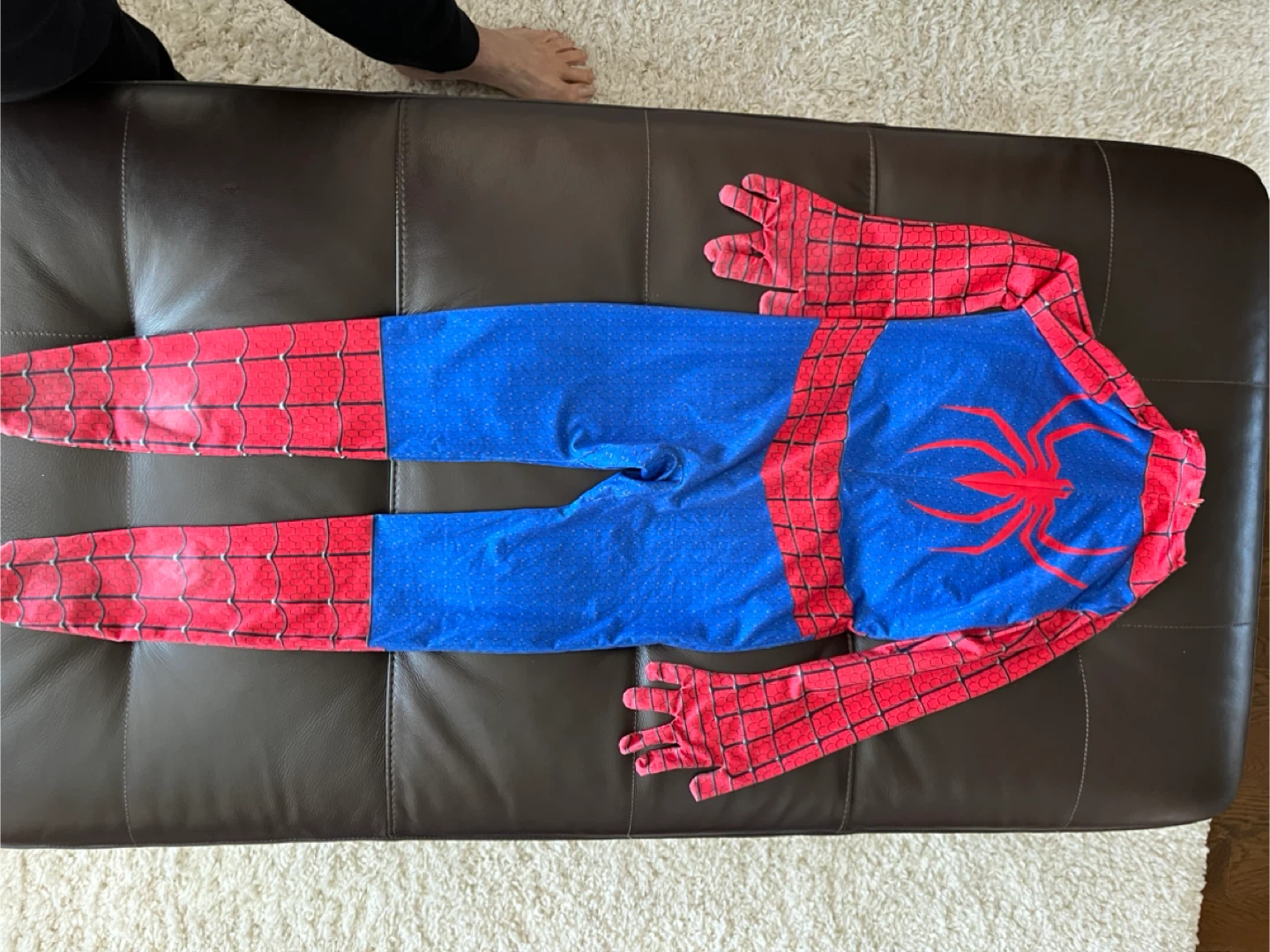 Spider-Man Costume