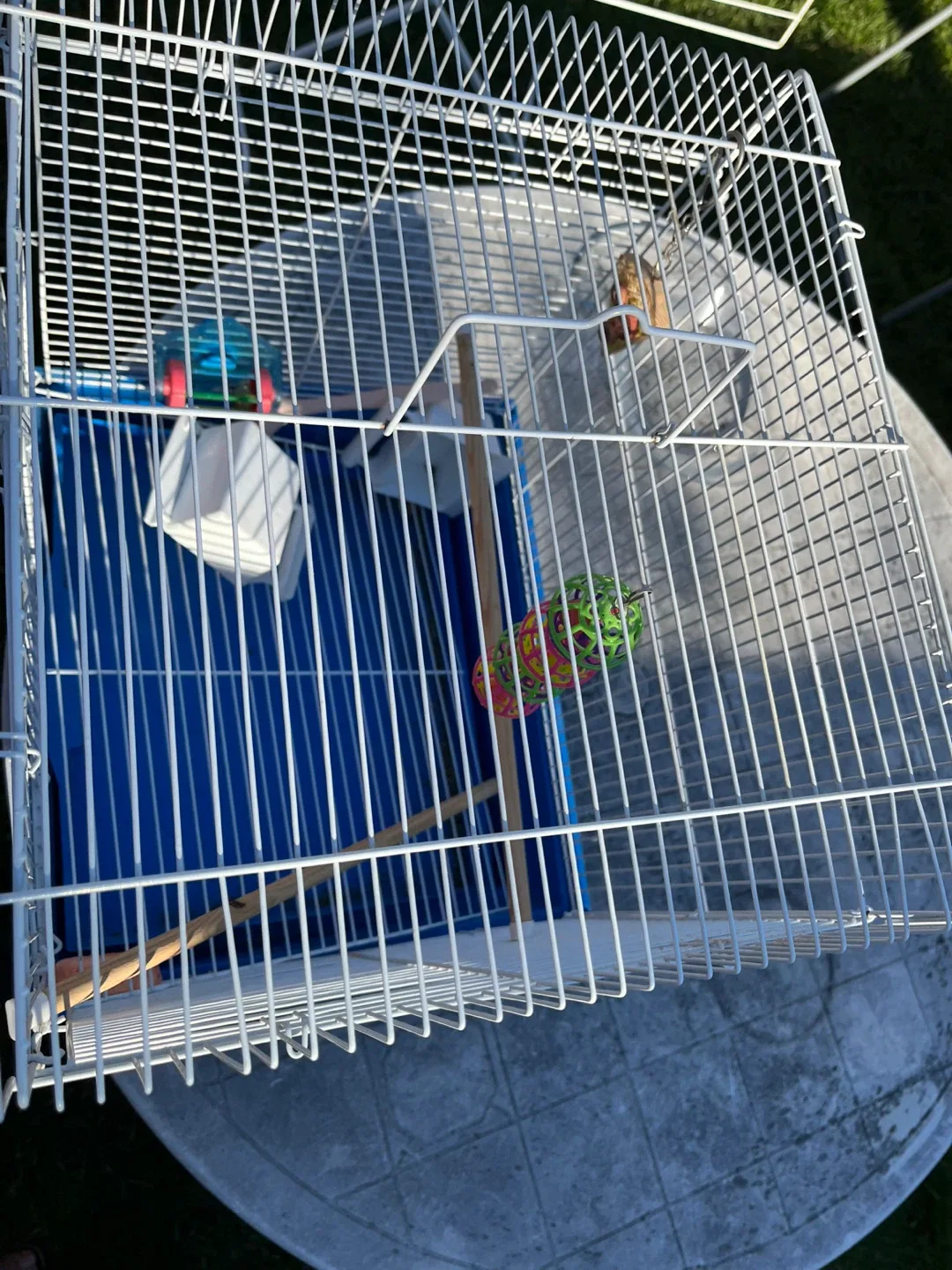 🥕Bird Cage - White and Blue PLUS SOME FOOD image indicator(3)
