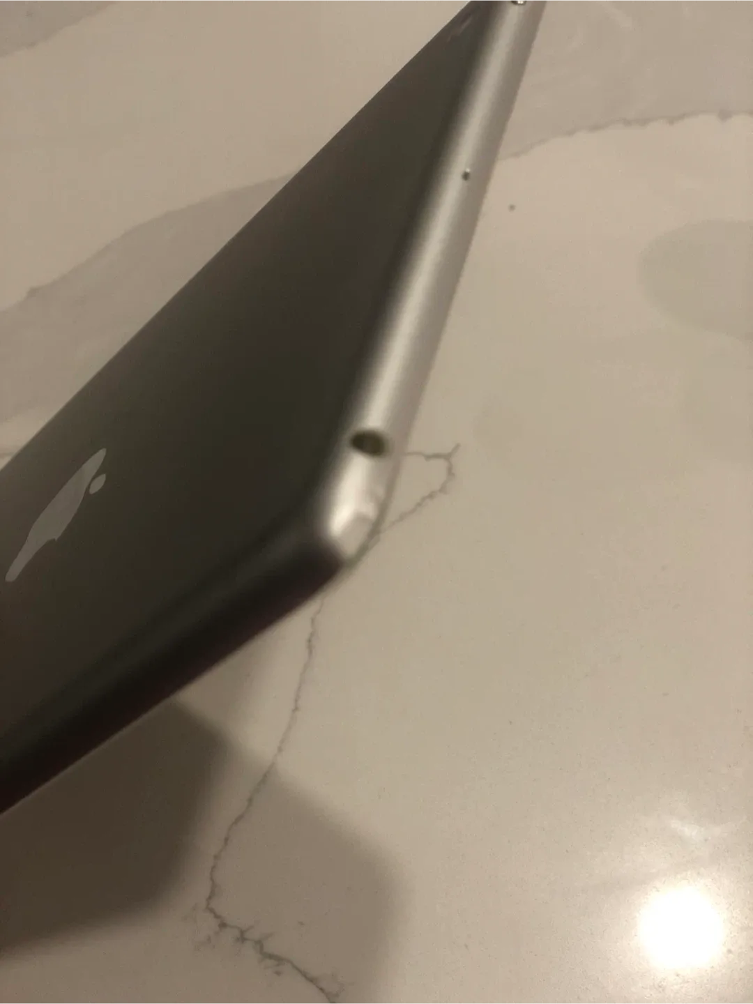 Apple iPad Mini (1st Gen) 🥕 image indicator(2)