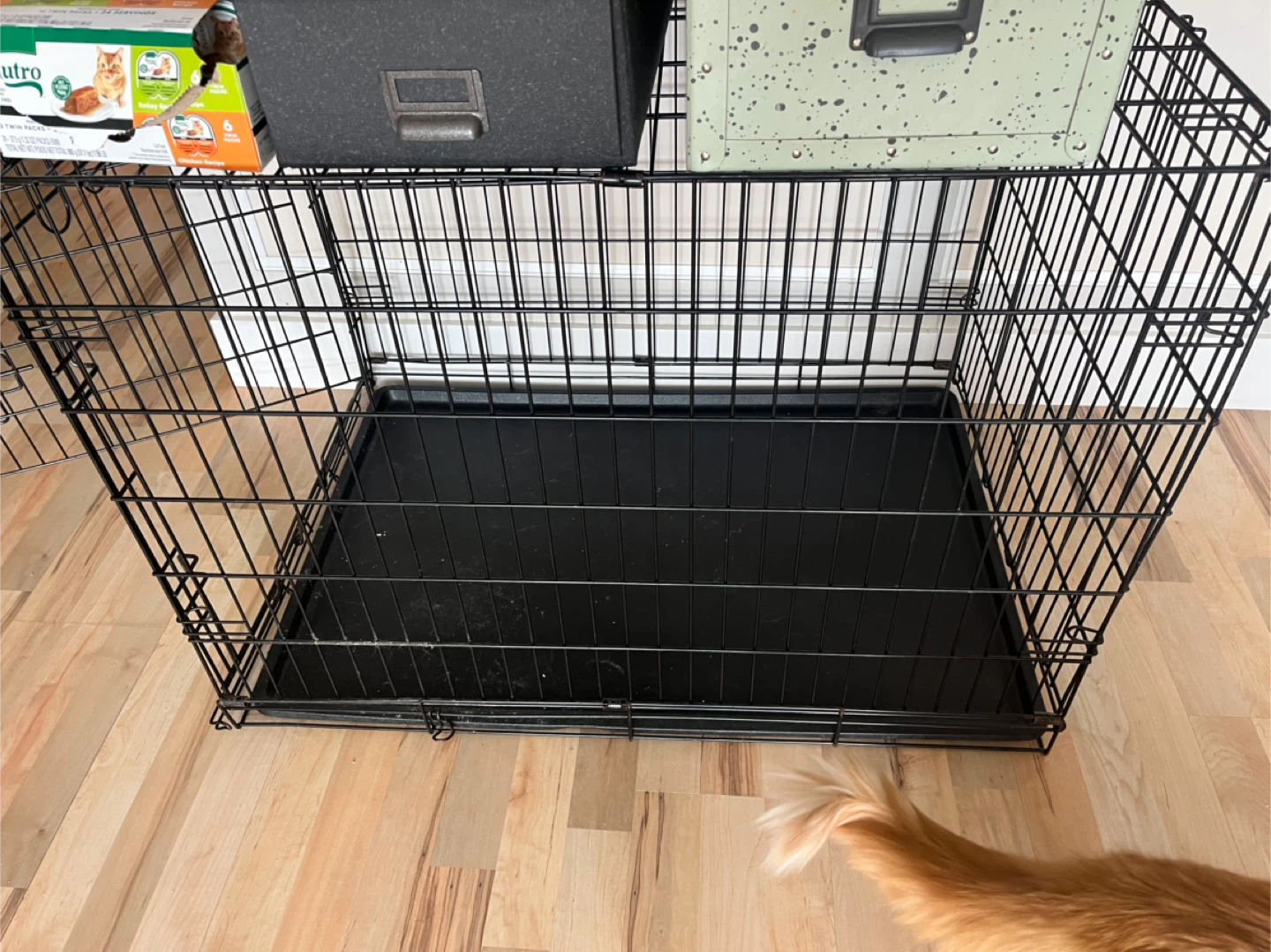 Black Wire Dog Crate