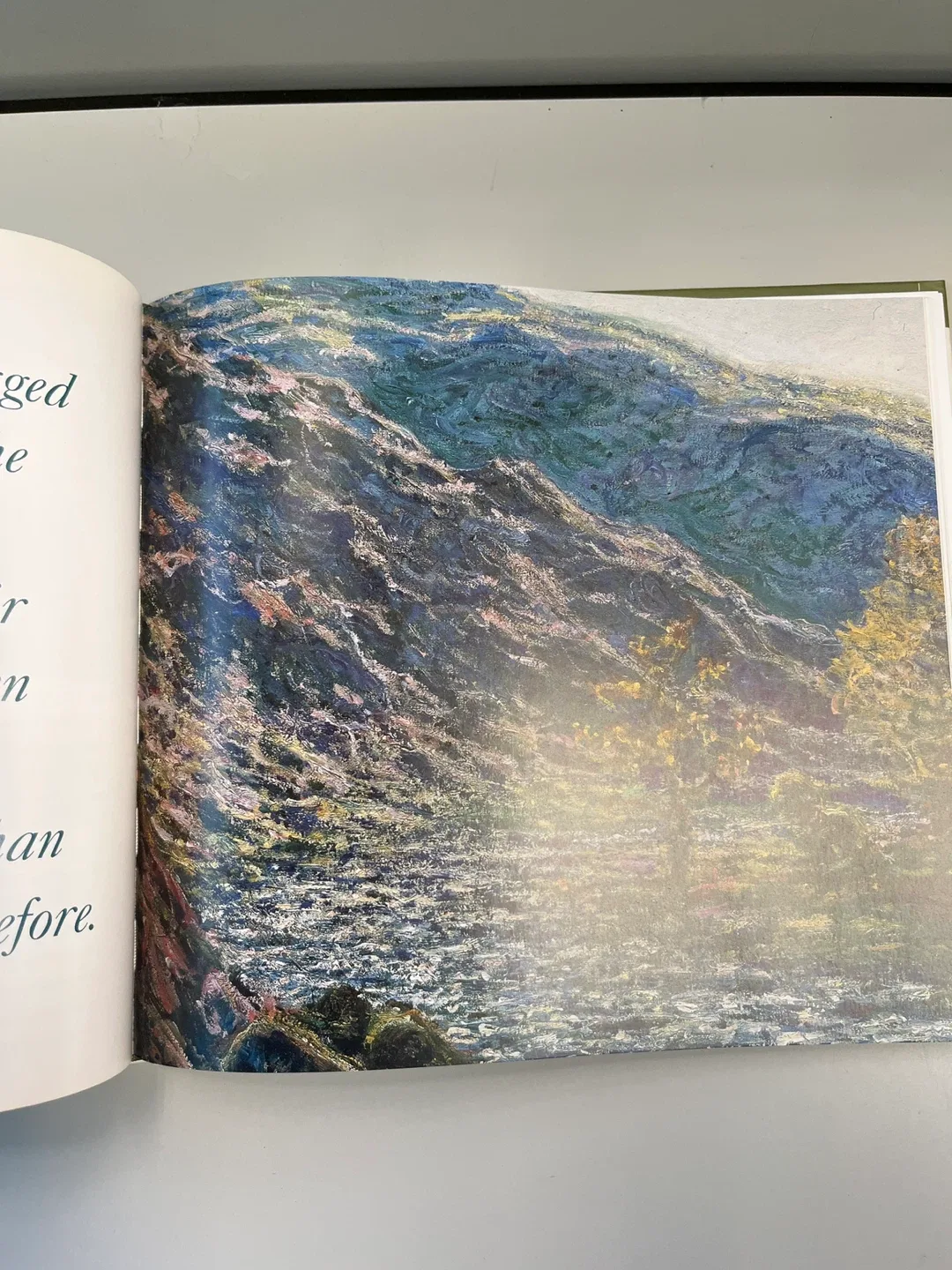 Monet by Andrew Forge - Art Institute of Chicago image indicator(5)